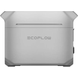 Зарядна станція EcoFlow DELTA 3 Plus 1800Вт / 1024 Вт*год EFDELTA3P-EU EFDELTA3P-EU фото 2